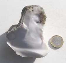 Opal weiss, Milchopal
