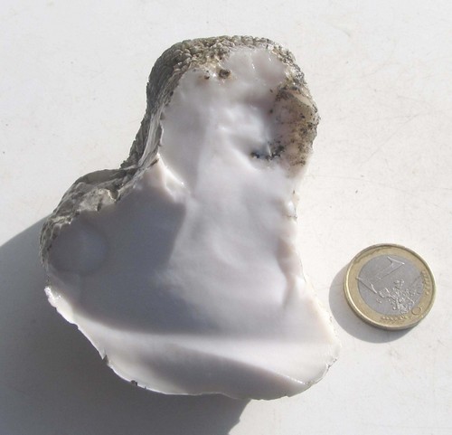 Opal weiss milchopal - opal,