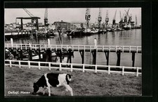 Ansichtskarte Delfzijl, Haven 1967 