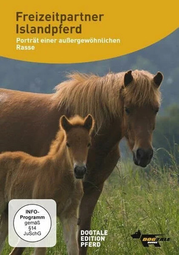 Freizeitpartner islandpferd - freizeitpartner,