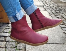 El Naturalista N5918 Origen