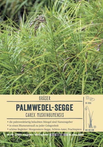 Carex muskingumensis