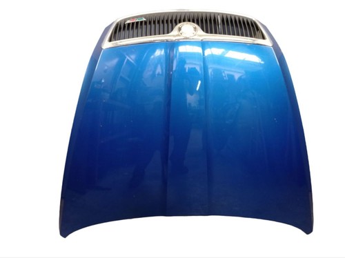 Motorhaube haube race - motorhaube,