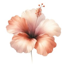 9X9 cm Blume Wandtattoo