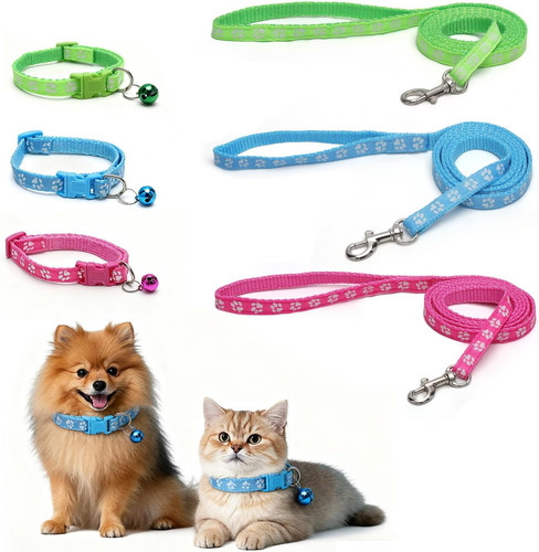 Kleine hunde leine und - kleine,