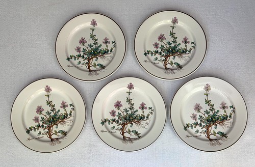 Villeroy boch botanica - botanica, 5