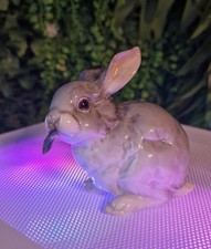 Porzellanfigur Hase mit Blatt sitzend farbig Hutschenreuther Kunstabteilung rar