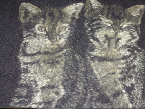 Katze kinder 5 x - kinder, 40,5