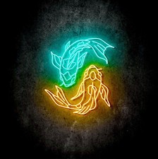 Koi Fische LED Schild NEON