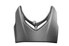 Carbon Frontverkleidung für