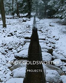 Andy goldsworthy projects - andy,