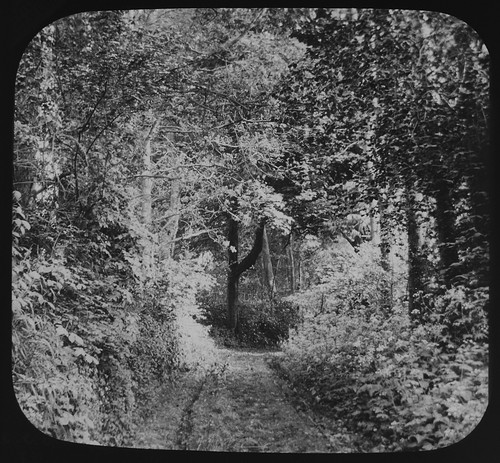Foto devonshire lane - devonshire, c1890