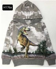 Dino Pullover