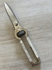antike Geflügelschere Mit