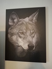 Wolf Wandbild Leinwand auf