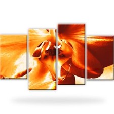 XXL Orchidee Bild Leinwand mit Keilrahmen Bilder Blumen
