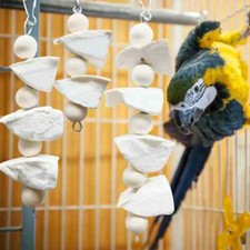 HABO Tintenfisch Knochen Vogel Kauspielzeug, Papagei Zähne Kalzium Ergänzung, Bi