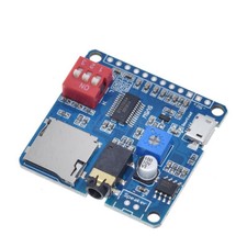 1X NEW 5W Voice Playback