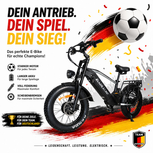 Zoll bike 48v - 48v, motor