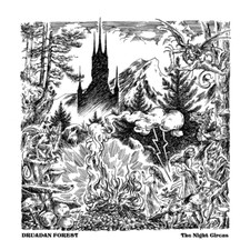 DRUADAN FOREST - The Night