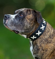 Hundehalsband Lace Braun