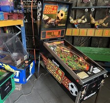 Flipper gottlieb 1994 world - 1994,
