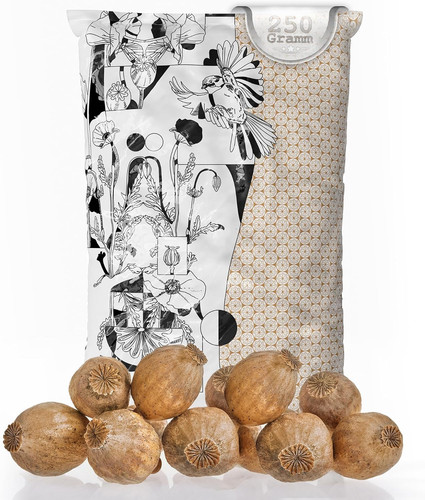 Mohnkapseln poppy pods - mohnkapseln,, pods|