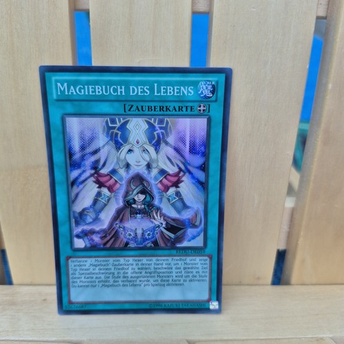 Magiebuch des lebens - magiebuch,