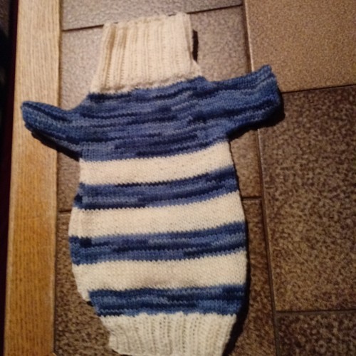 Hunde pulli - hunde,