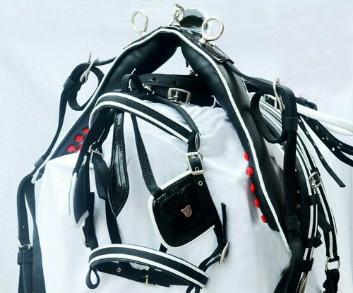 Nylon gurtbandwagen - nylon,