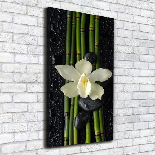 Leinwand bild kunstdruck - leinwand-bild,