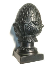 Pinienzapfen Pinien Zapfen