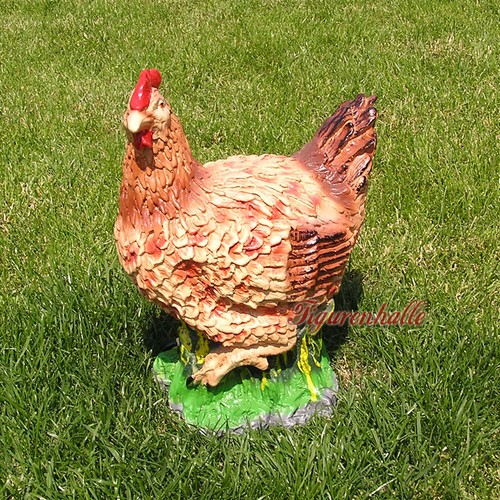 Huhn hünchen hahn - huhn,