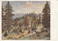 Motiv AK Otto illies Wernigerode Harzer Hochmoor Wernigerode