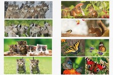 3D Lesezeichen Tiere 15x5cm