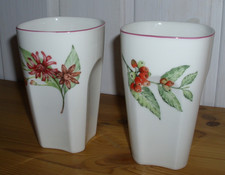 2 x Villeroy&Boch Vivo Botanic