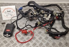 Hauptkabelbaum Kabelbaum