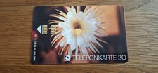 K 316 06.91 - 1000 ex. - aus Sammlungsauflösung - Telefonkarte # 12