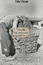 Repro Foto no Original 10x15cm