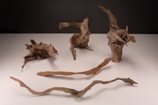 5 kleine Mangroven Holz Wurzeln für Nano-Aquarium