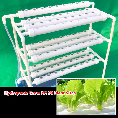 Hydroponic grow kit gemüse - hydroponic,