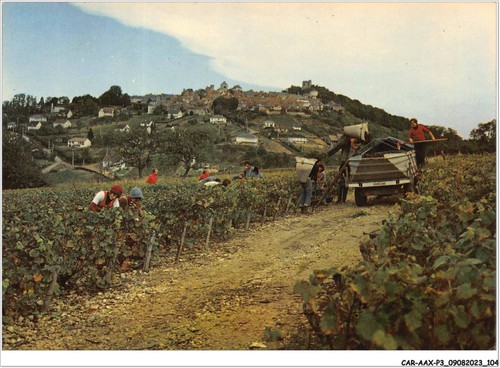 Car aax 0189 sancerre - car-aax-p3-18-0189,