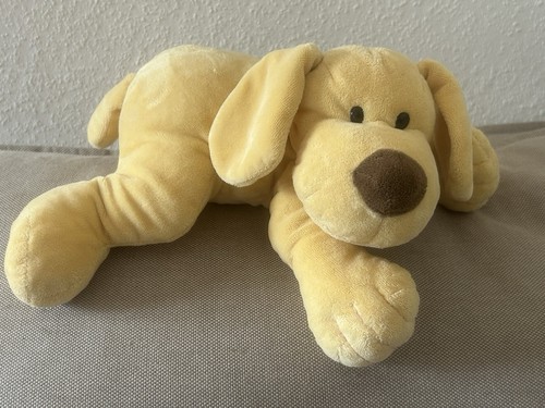 Kik hund gelb - hund, bunte