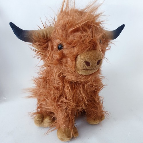 Schottische highland rind - schottische,