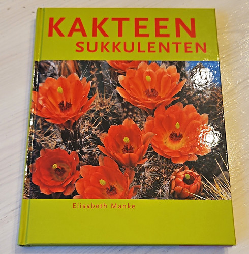 Kakteen sukkulenten elisabeth - kakteen-sukkulenten,