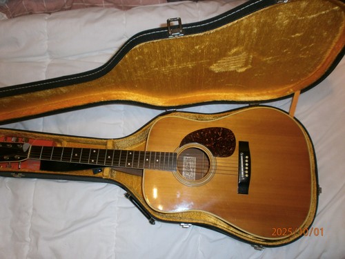 Aria western gitarre - aria,