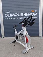 Schwinn AC Performance Plus