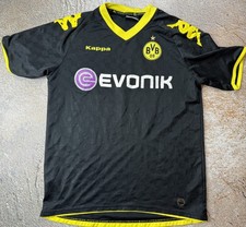 Borussia Dortmund 2010/2011