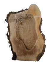 1x Nussbaum Ast Bohle Brett