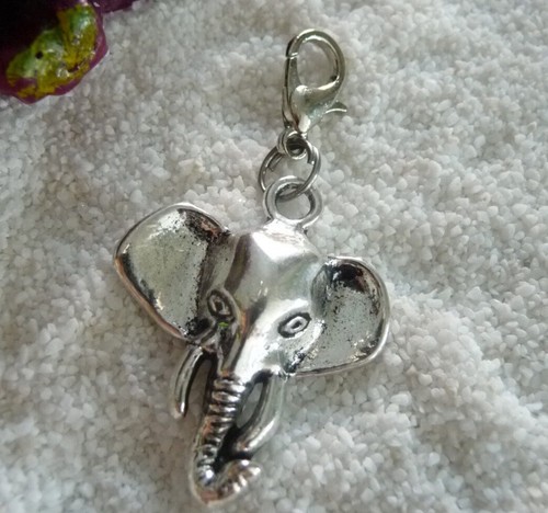 Charm elefant afrika - charm,